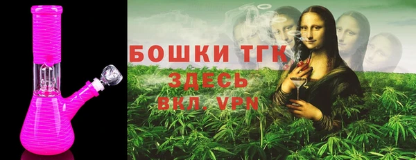 гашик Алексеевка