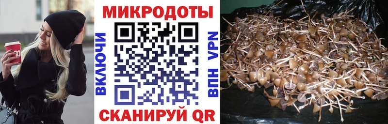 Купить  Абакан  Галлюциногенные грибы MAGIC MUSHROOMS 